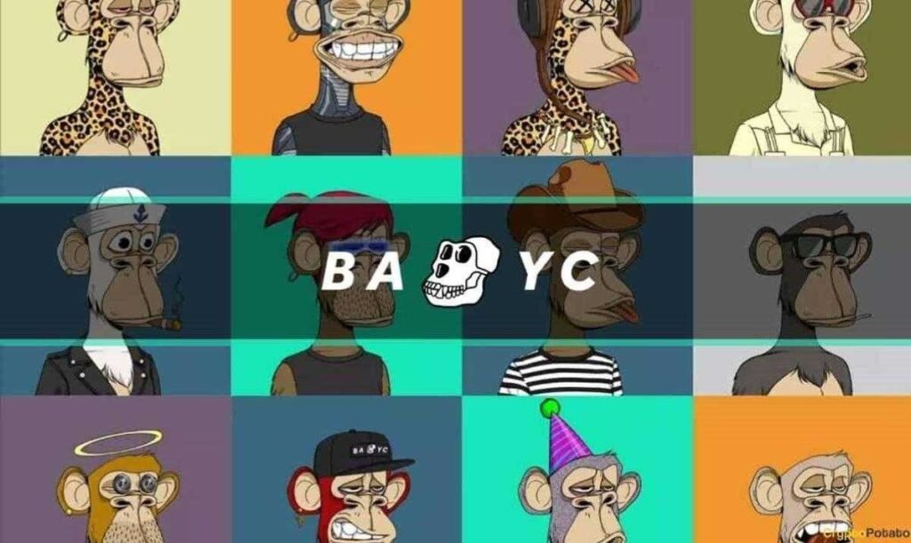BAYC was a successful NFT collection as they created a story behind its collection