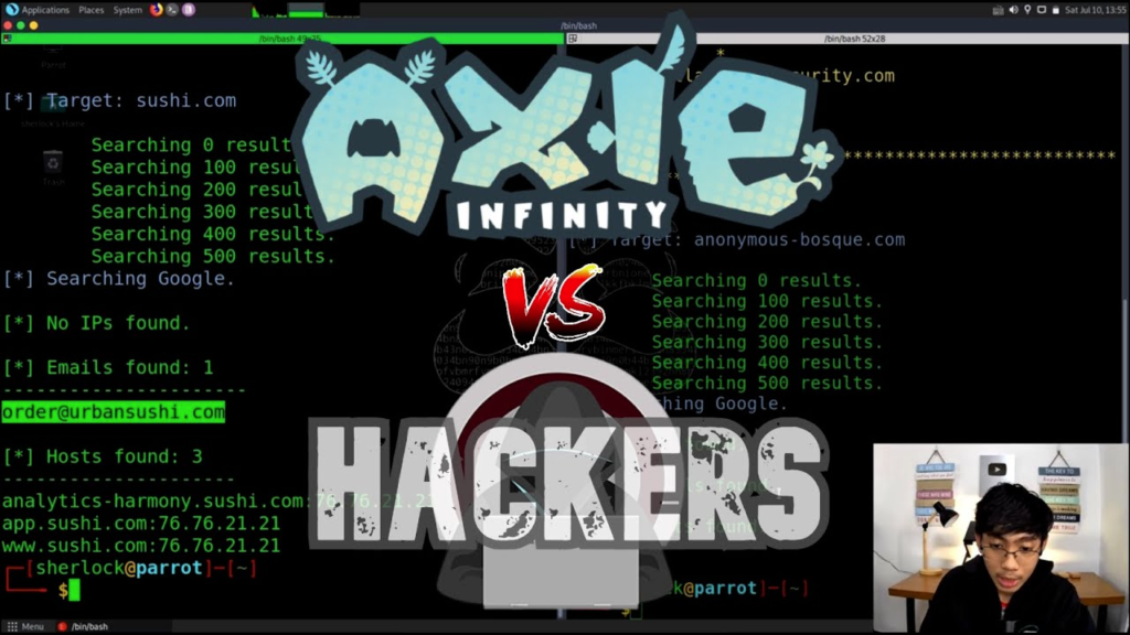  Axie Infinity scam